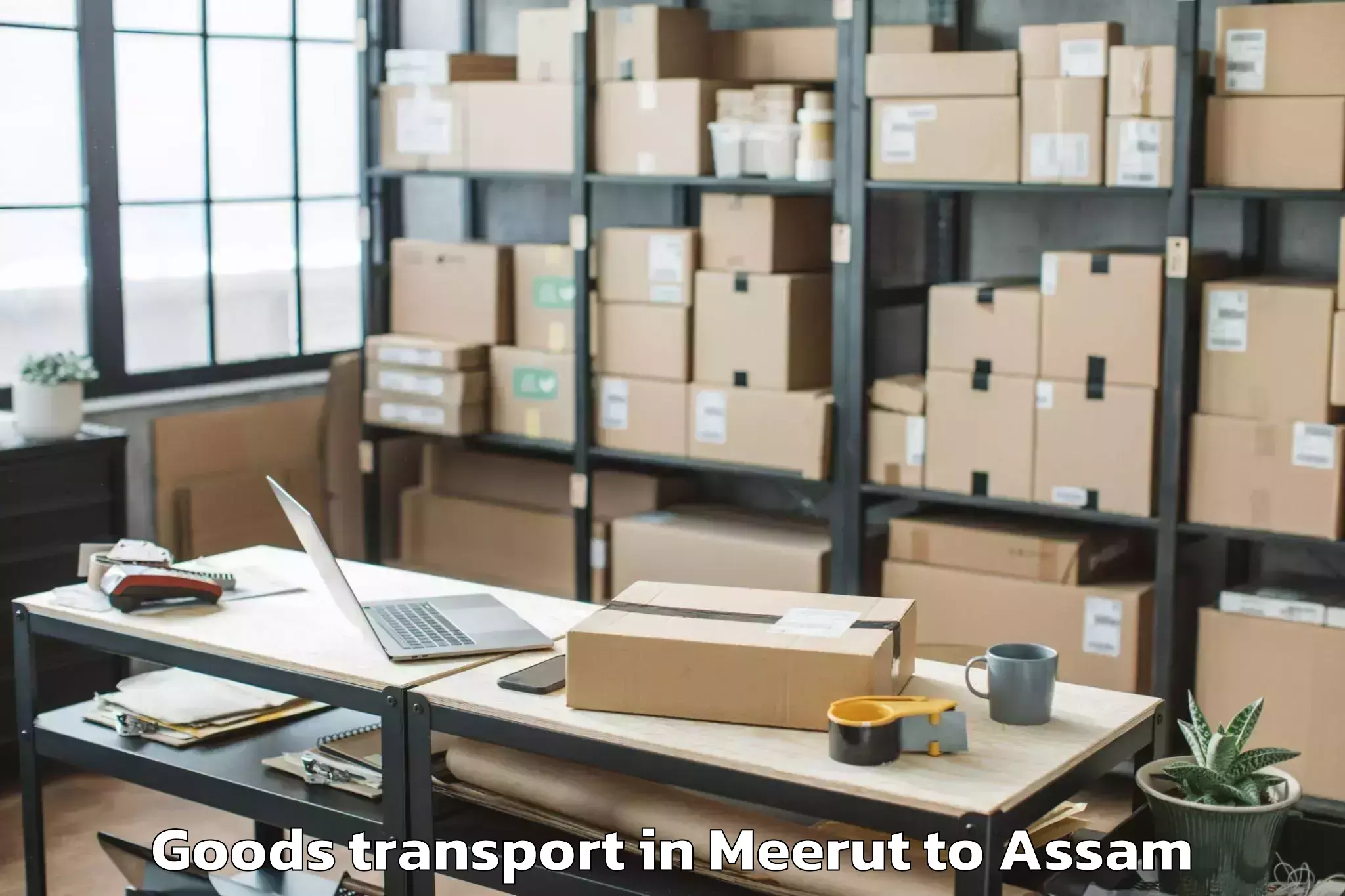 Book Meerut to Titabor Goods Transport Online